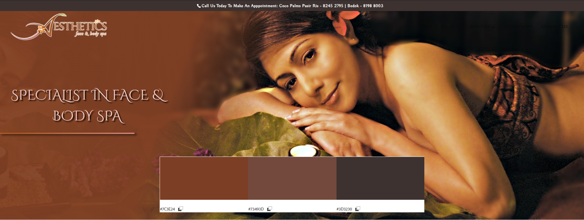 Before - Homepage color palette